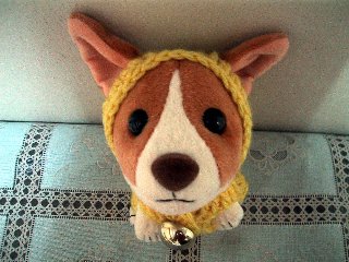 �ʂ�����݂P