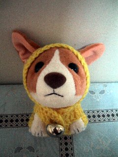 �ʂ�����݂Q