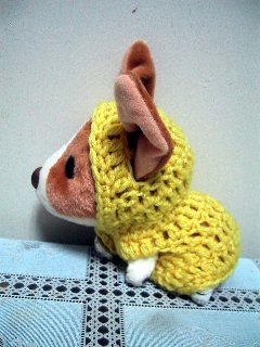 �ʂ�����݂T