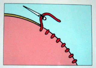 �D�����P