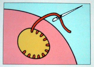 �D�����Q