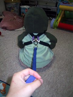 ���q�Ђ��P