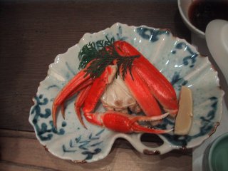 �[�H�E����