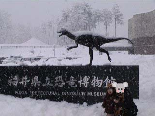 ���������قP