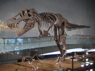 ���������قQ