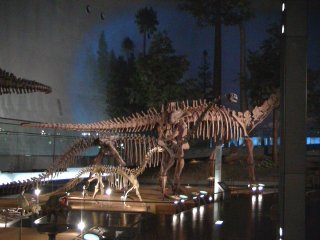 ���������قS