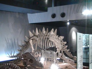 ���������قT