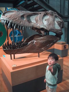 ���������قU