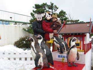 ���������قP