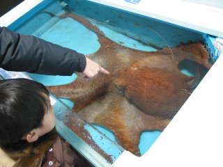 ���������قQ