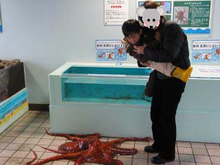 ���������قR