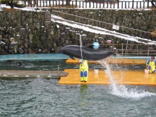 ���������قS