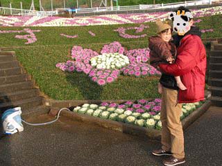 ����̗������P