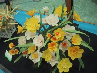 ����̗������Q