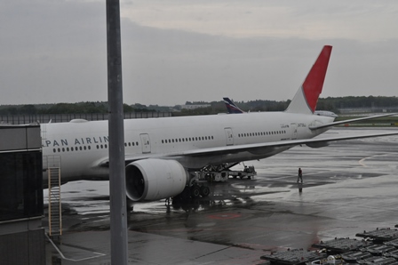 �o�����T