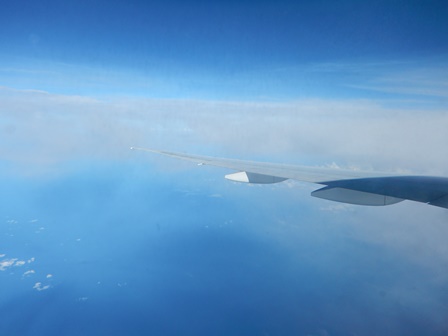 �o�����P�P