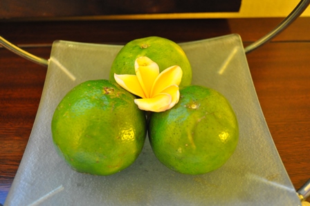 �o�����Q�W