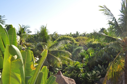 �o�����P