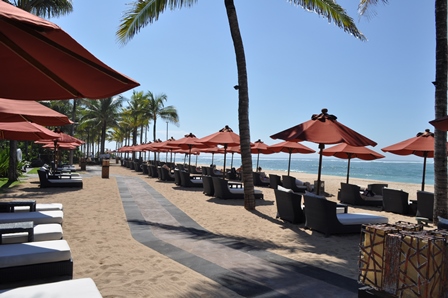 �o�����S�X