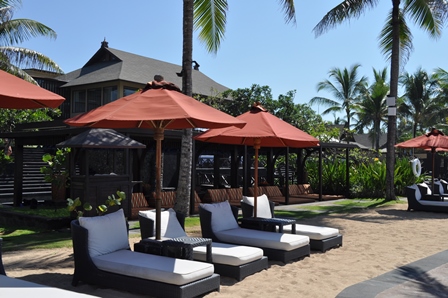 �o�����T�O