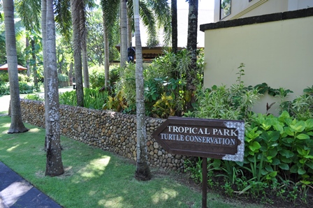 �o�����T�T