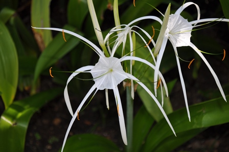 �o�����T�U