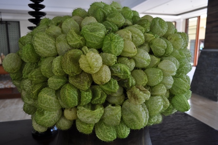 �o�����U�P