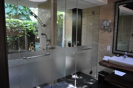 �o�����V�P