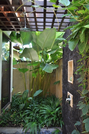 �o�����V�S