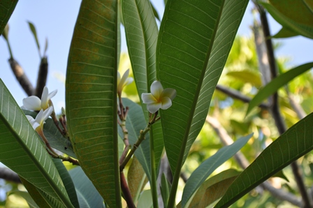 �o�����V�U