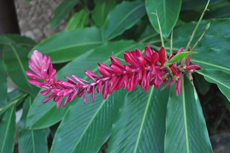 �o�����V�V