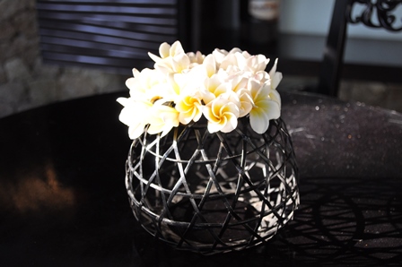 �o�����V�W