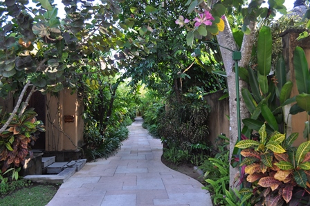 �o�����W�S