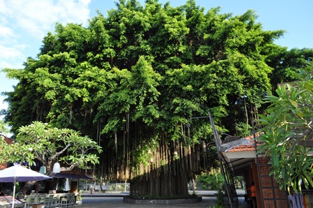 �o�����X�O