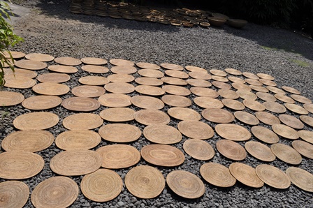 �o�����V