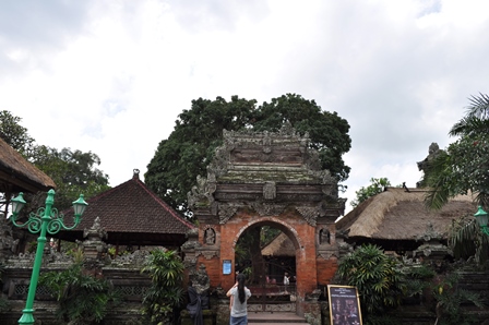 �o�����P�P