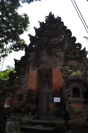 �o�����P�R