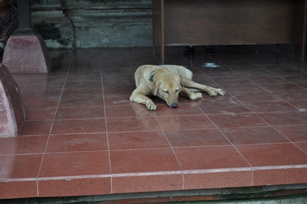 �o�����P�T