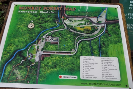 �o�����P�W