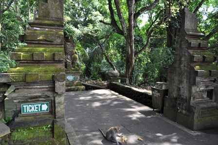 �o�����P�X