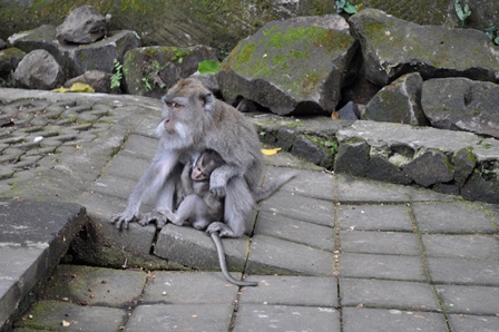 �o�����Q�S