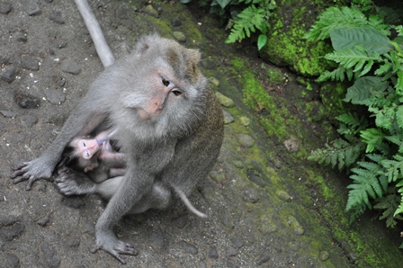 �o�����Q�T