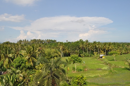 �o�����Q�V