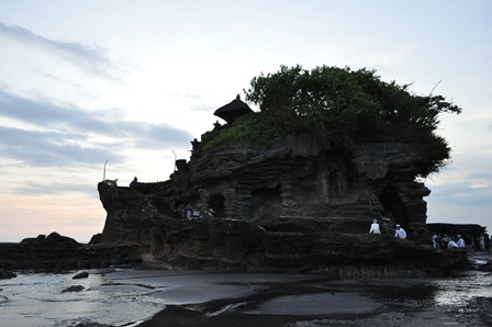 �o�����S�X