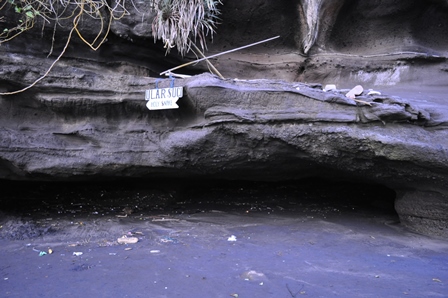 �o�����T�O