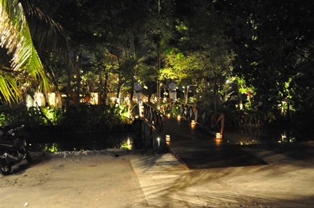 �o�����T�Q