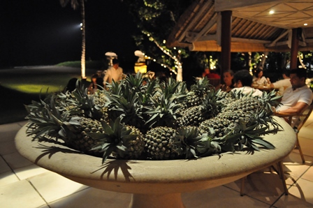 �o�����T�R