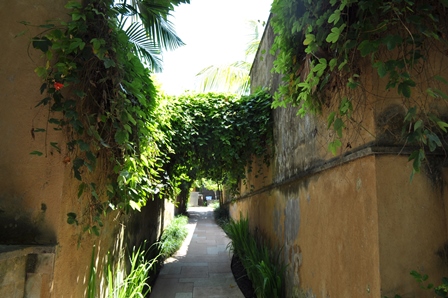 �o�����X