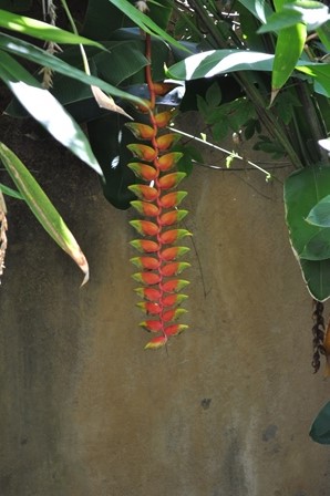 �o�����P�Q