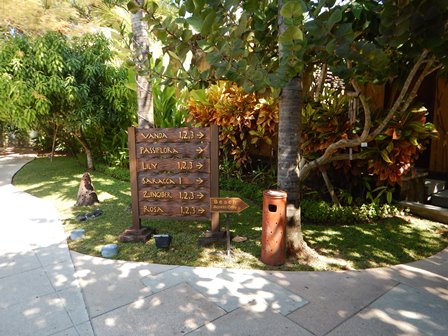 �o�����P�X